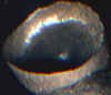 wpe1A.jpg (5345 個位元組)