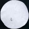 wpe1B.jpg (6162 個位元組)