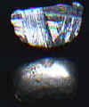 wpe6.jpg (3319 個位元組)