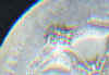 wpe8.jpg (3379 個位元組)