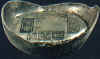 wpe1D.jpg (20069 個位元組)