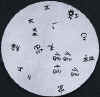 wpeA.jpg (11959 個位元組)