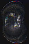 wpe3.gif (117727 個位元組)